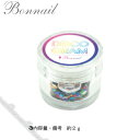 [メール便不可]Bonnail ボンネイル ディスコグラム【★】 【RCP】 【.】【ネイル パーツ ジェルネイル】【税込5,500円以上送料無料】