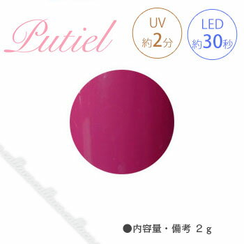 Putiel プティール カラージェル 113 ベリーピンク 2g 【ネイル パーツ ジェルネイル】