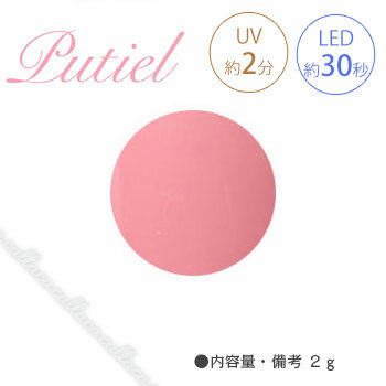 Putiel プティール カラージェル 118 グロスピンク 2g 【ネイル パーツ ジェルネイル】