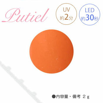 Putiel プティール カラージェル 121 ブライトオレンジ 2g 【ネイル パーツ ジェルネイル】