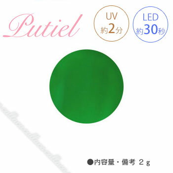 Putiel プティール カラージェル 144 ネオングリーン 2g 【ネイル パーツ ジェルネイル】