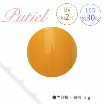 Putiel プティール カラージェル 151 マッド 2g 【ネイル パーツ ジェルネイル】 Putiel プティール カラージェル 151 マッド 2g 【ネイル パーツ ジェルネイル】