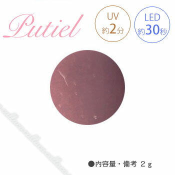 Putiel プティール カラージェル 502 マロンクッキー 2g 【ネイル パーツ ジェルネイル】