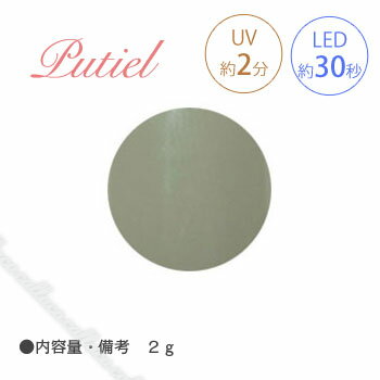 Putiel プティール カラージェル 238 スモーキーソフトグリーン 2g 【ネイル パーツ ジェルネイル】