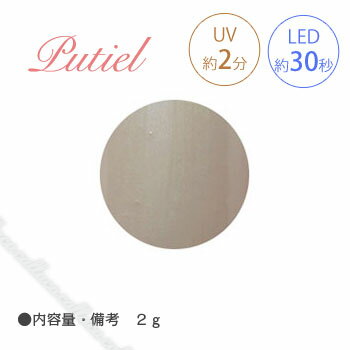 Putiel プティール カラージェル 258P パールスモーキーベージュ 2g 【ネイル パーツ ジェルネイル】