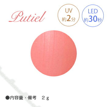 Putiel カラージェル 260P パールストロベリー 2g 【ネイル パーツ ジェルネイル レッド】
