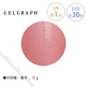 GELGRAPH ジェルグラフ カラージェル 160P フラミンゴレディ 5g 【ネイル パーツ ジェルネイル】