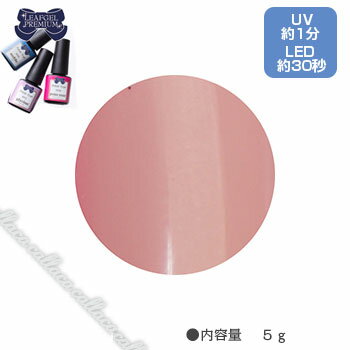 LEAFGEL PREMIUM リーフジェル プレミアム ポリッシュタイプ カラー P10 モンベベ 5g 【ネイル パーツ ジェルネイル】