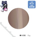 LEAFGEL PREMIUM リーフジェル プレミアム ポリッシュタイプ カラー P16 ノブレス 5g 【ネイル パーツ ジェルネイル】