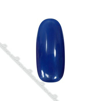 para gel パラジェル カラージェル P005 ネイビーブルー 【ネイル パーツ ジェルネイル】