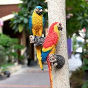 【値下げ・セール】オウム 壁飾り 壁掛けインテリア 鳥 インコ 雑貨 バード ウォールアート ウォールデコ 鳥 オブジェ 雑貨 壁掛けオブジェ 鳥雑貨 ウォール...