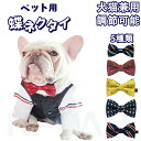 1280円ぽっきり 犬用 蝶ネクタイ 猫用品 犬 猫ドッグ お出かけ おしゃれ お散歩グッズ 小型犬 中型犬 大型犬人気 アクセサリー リボン 首輪 水玉 ドット ボーダー 花柄 フラワー 着脱簡単 小動物 いぬ ねこ 犬猫兼用 調節可 散歩 愛犬 丈夫 犬用品 プレゼント ギフト