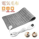 ホットカーペット 電気毛布 60×30cm 43x83cm 6段階温度調節 タイマー機能付き 電気座布団 加熱パッド 足温器 ホットマット 一人用 洗える 防水...