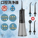 口腔洗浄器 ウォーターピック ジェットウォッシャー 口腔洗浄機 300ML 強弱切り替え IPX7防水 長い電池の寿命 タンク家旅行のための携帯 おすすめ 口腔...