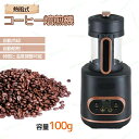 電動熱風式 コーヒー焙煎機 コーヒー豆焙煎機 コーヒーロースター 100g 珈琲焙煎機 コーヒー焙煎冷却機 冷/熱風 コーヒー焙煎器 豆/珈琲/コーヒー生豆 ばいせん機 焙煎機 電動 自動 家庭用 業務用 熱風式焙煎 ホームロースター