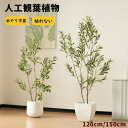 【即納】観葉植物 フェイク 120cm/150cm オリーブの木 フェイクグリーン 人工観葉植物 水性塗料 造花 ホテル インテリア リアル おしゃれ お祝い ...