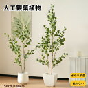 【即納】観葉植物 フェイク 150cm/180cm ユーカリの木 フェイクグリーン 人工観葉植物 水性塗料 造花 ホテル インテリア リアル おしゃれ お祝い ...