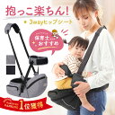 【200円OFFクーポン配布中】【楽天1位】 ヒップシート