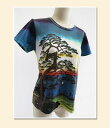 【和柄半袖・プリントTシャツ】安藤(歌川)広重『東海道五拾三...