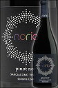 《ノリア (中村セラーズ)》 ピノノワール サンジャコモ ヴィンヤーズ ソノマコースト 2021 NORIA NAKAMURA CELLARS Pinot Noir Sonoma Coast Sangiacomo Vineyards750ml 赤ワイン 中村勘三郎さんが愛飲したナカムラセラーズ カリフォルニアワイン専門店あとりえ