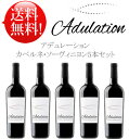 ●送料無料 アデュレーション カベルネ・ソーヴィニヨン5本セット Adulation Cabernet Sauvignon California 750ml 現行年 クールは別途+\260 プレゼント対応可 フィオールディソル・ワイナリー赤ワイン カリフォルニアワイン専門店