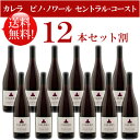 ●送料無料お得12本セット《カレラ》 ピノ・ノワール セントラル・コースト Calera Pinot Noir Central Coast 750ml現行年 贈答ギフト対応不可 カリフォルニア赤ワイン