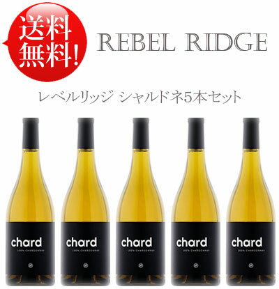 送料無料● レベルリッジ シャルドネ5本セット Rebel Ridge Chardonnay California 750ml 現行年 クールは別途+\260 フィオールディソル ワイナリー白ワイン カリフォルニアワイン専門店 プレゼント贈答 父の日プレゼント