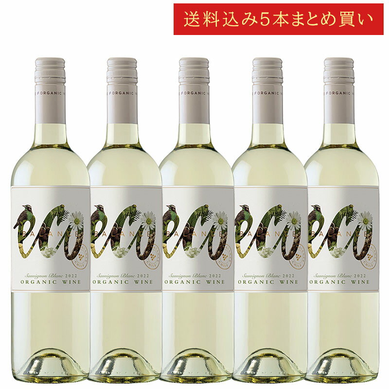 《送料込み5本まとめ買い》 エミリアーナ エコ・バランス オーガニック ソーヴィニヨンブラン ヴァレ・カサブランカ Emiliana Eco Balance Organic Sauvignon Blanc 750ml チリワイン 有機栽培白ワイン スクリューキャップ 現行年 送料無料セットワイン クールは300円加算