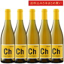 《送料込み5本まとめ買い》 ワインズ・オブ・サブスタンス シャルドネ ワシントン・ステイト (コロンビアヴァレー) Wines of SUBSTANCE “CS...