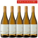 《送料込み5本まとめ買い》 バラード・レーン シャルドネ カリフォルニア Ballard Lane Chardonnay California 750ml カリ...