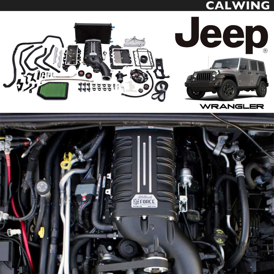 驚きの値段 12 14y E Forceスーパーチャージャー Edelbrock エーデルブロック ラングラー Jk 新発 Www Gestalt Cl