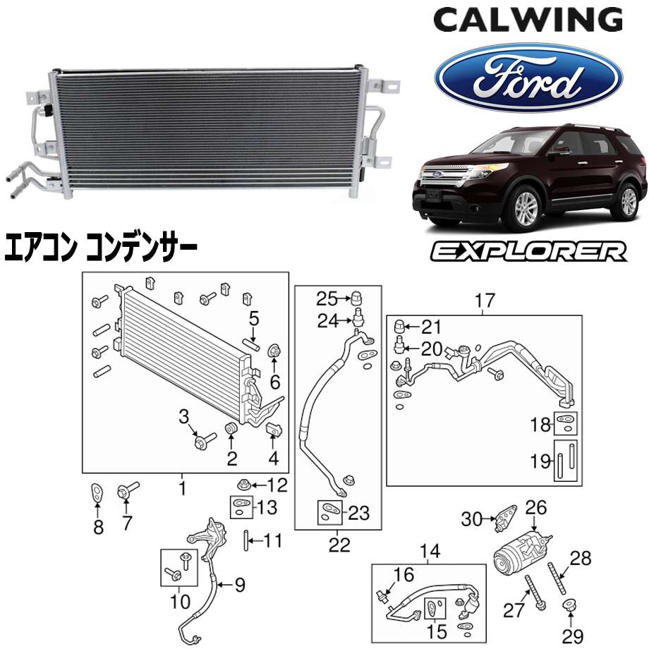 11-14y ץ顼 |  ǥ󥵡 FORD