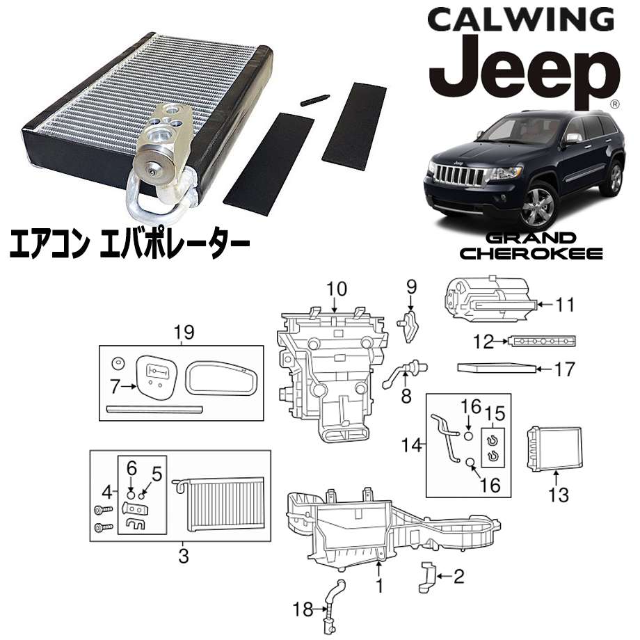 11-13y ɥ |  Хݥ졼 MOPAR