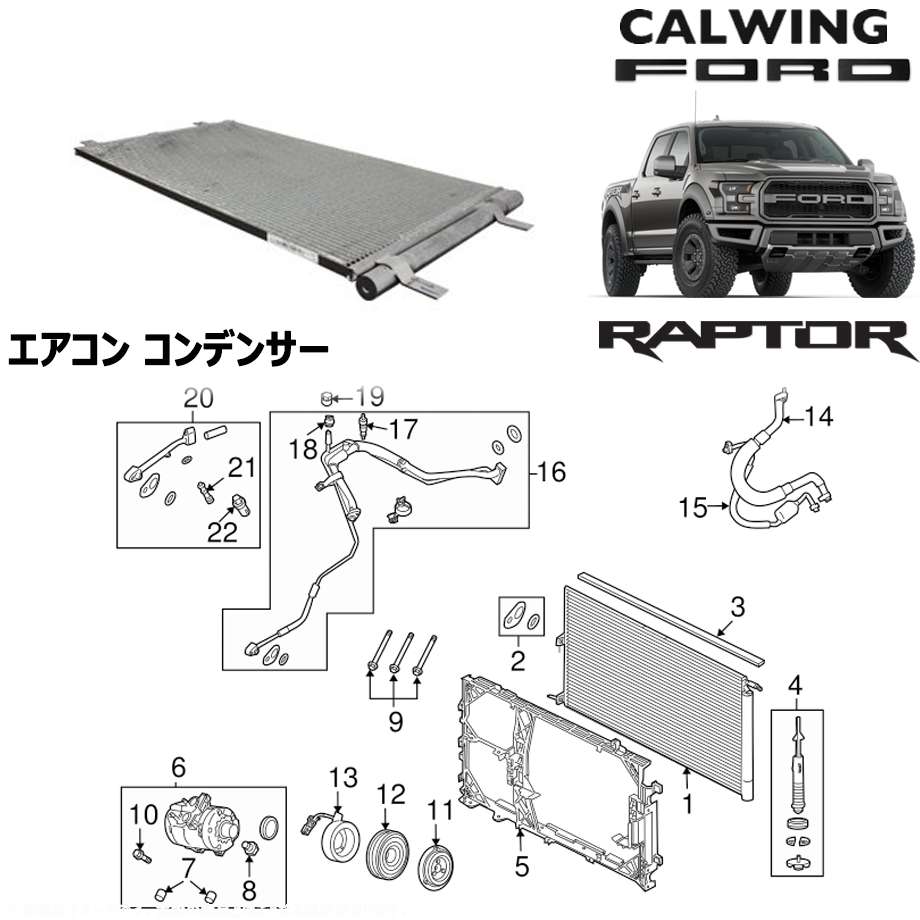 17y- F150 ץ |  ǥ󥵡 ⡼եȽ