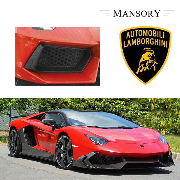 ランボルギーニ アヴェンタドール マンソリー フロントエアインテイクカバー 2PC VisibleCarbon カーボン 純正バンパー対応