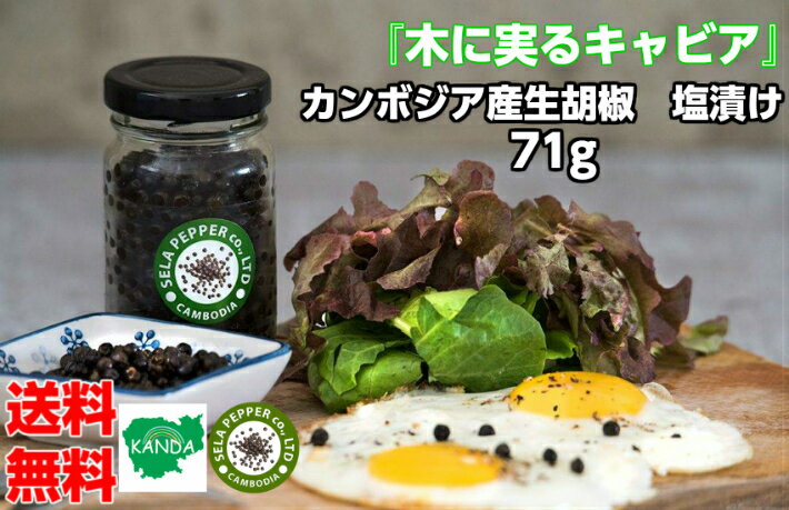 名称生胡椒原材料名コショウ、食塩内容量71g賞味期限製造から1年1ヶ月保存方法直射日光、湿度の高い所を避け、常温で保存してください。開封後は冷蔵して早めに消費してください。輸入者有限会社神田興産 沖縄県沖縄市美里仲原町24番1号関連商品はこちら【送料無料】カンボジア産 生コショウ ...1,820円【送料無料】 カンボジア産 生コショウ ...2,380円【送料無料】カンボジア産 生コショウ ...3,740円【1000円ポッキリ】生コショウ 塩漬け ...800円【1000円ポッキリ】生コショウ 塩漬け ...1,000円生コショウ 塩漬け こしょう コショウ ...1,480円