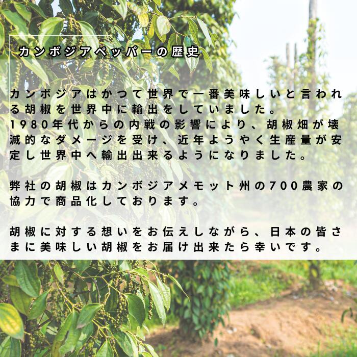 生コショウ 塩漬け