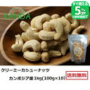 【限定5%オフ!!LINE友だち追加】 プレミアム ビッグ カシューナッツ 素焼き (100g×10) 1kg ロースト Milky Cashew 無塩 無添加...