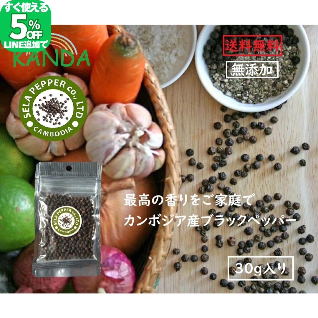 【限定5%オフ!!LINE友だち追加】 カンボジア ブラックペッパー ホール こしょう コショウ ホール 30g×10袋 カンボジア産 世界最高峰 黒コショウ 胡椒 黒胡椒 粒 ランキング おすすめ お買い得 最高級品 香辛料 フェアトレード 幻の胡椒 自然食品 ランキング