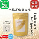 【限定5%オフ!!LINE友だち追加】 一粒万倍日の塩 持ち塩 清め塩 盛り塩 大安 塩 天然 天然塩 沖縄 天日塩 無添加 国産 塩 ミネラル プレゼント 自然塩 浄化 送料無料 一粒万倍日