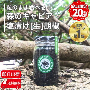 【限定20%オフ!! 6/4 20時~6/11 1:59迄】 カンボジア 生胡椒 塩漬け 71g 生コショウ 生こしょう こしょう コショウ ブラックペッパー 胡椒 粒 粒胡椒 つぶ胡椒 黒こしょう 最高級品 スパイス ハーブ 香辛料 黒胡椒 カンボジア産 セラペッパー sela pepper 粒