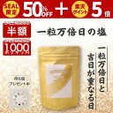 【限定セール!! 9/4 20時~6/11 1:59迄】 PREMIUM 浜比嘉塩 一粒万倍日の塩 持ち塩 清め塩 盛り塩 大安 塩 天然 天然塩 沖縄 天日塩 無添加 国産 塩 ミネラル プレゼント 自然塩 浄化 送料無料 一粒万倍日 高江洲製塩所 浜比嘉島 小袋