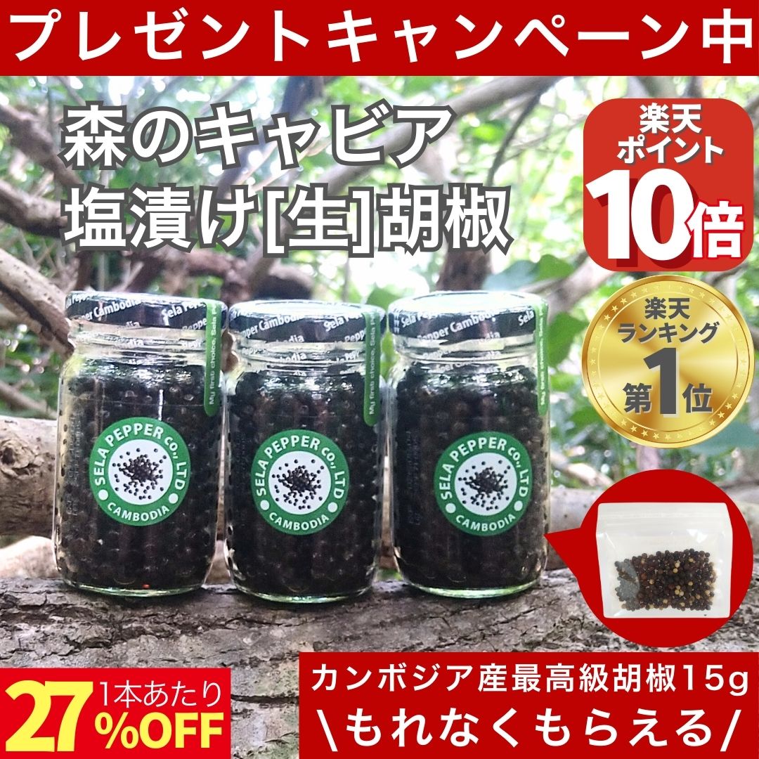 【マラソンP10倍】塩漬け生胡椒 黒胡椒 生胡椒 60g 乾燥胡椒 20g 黒の衝撃 セット カンポットペッパー ブラックペッパー 生コショウ 業務用 有機JAS認証 有機栽培 料理 生こしょう スパイス カンボジア産 日本品質 塩漬け CedarFarm
