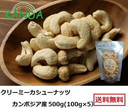 プレミアム ビッグ カシューナッツ 素焼き （100g×5） 500g ロースト Milky Cashew 無塩 無添加 大粒 カンボジア産 送料無料