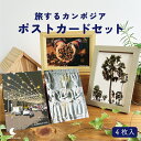 カンボジアポストカード 4枚セット 箔押し オオギヤシ カンボジアの夜の風景 アンコール・ワットのレリーフ カンボジアコーヒーチェリー 風景 カンボジア雑貨 ア...