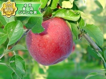 ★只今出荷中！★ご贈答用♪選べるりんごセット特価販売ですっ！“葉とらずつがる”・“黄王”...