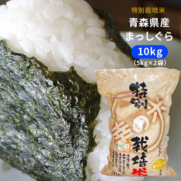 エントリーでポイント5倍農薬・化学...