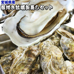 【殻付き牡蠣 缶蒸しセット】（15個入り）宮城から活きたまま発送 送料無料 15分で自宅が牡蠣小屋に！[※クール便][※他商品と同梱不可]