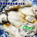 牡蠣 生食用 宮城県【奥松島産 むき身 生牡蠣 500g】(30-40粒) 通が好む隠れた牡蠣の名産地 奥松島の新鮮な カキ の剥き身をどっさり500gお届け！