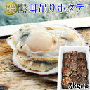 エントリーでポイント5倍 ほたて 活貝 送料無料 青森陸奥湾 【耳吊り ホタテ 7kg前後49-70枚】メガセット 鮮度が命の漁師直送便! ホタテ 貝焼き味噌 ...